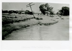 Image description is not available for PHO-4-W689-1070